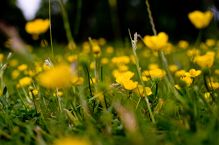 http://blog.xrpix.com/images/20080526165653_xrpix_dsc0156.jpg