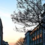 Rue Lepic (Montmartre)