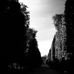 Tuileries Alleys