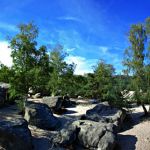 A panorama of Fontainebleau
