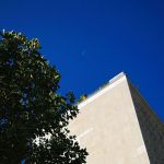 The moon at midday