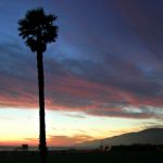 Zuma Beach