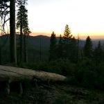 Yosemite Park Panorama