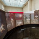 Stereo pic at the Orangerie