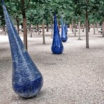 Drops in Senat gardens