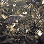 Metal Petals