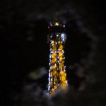Parisian Reflection
