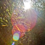 Flare