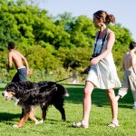 At The Park