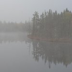foggy morning in Canada