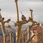 Planète Marseilles