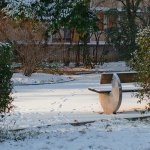 Footsteps In The Snow