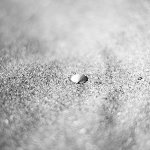Tiny Shell