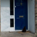 Stanley Lodge's Cat
